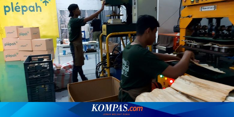 Kerja Sama dengan Startup Nasional, Kelompok Perempuan Desa Ini Olah Limbah Pelepah Pinang Jadi Wadah – Kompas.com