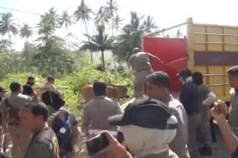 Satpol PP Pasangkayu Terlibat Kejar-kejaran dengan Kawanan Sapi yang Masuk Kota