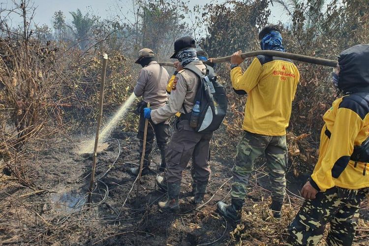 Petugas gabungan memadamkan api karhutla di Kecamatan Rupat, Kabupaten Bengkalis, Riau, Senin (24/2/2020).