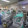 29 dari 31 Bayi Prematur yang Dievakuasi dari RS Al-Shifa Gaza Tiba di Mesir