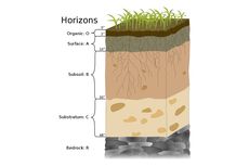 6 Lapisan Horizon Tanah dan Penjelasannya