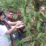 Perubahan Iklim Bakal Bikin Aroma Vanila Alami Lebih Sulit Didapatkan