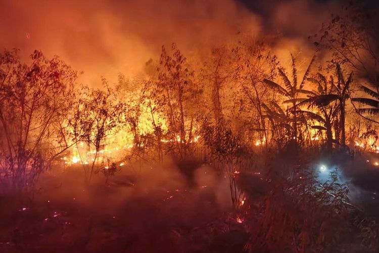 Bakar Rumput di Kebun, Petani di Seram Bagian Barat Tewas Terjebak Api