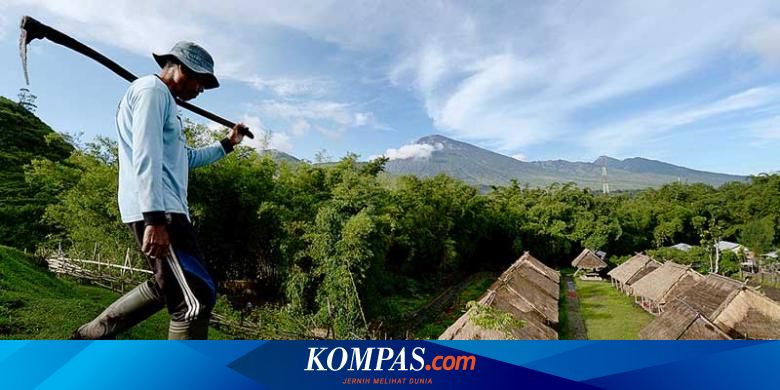 Sembalun Wisata Kesejukan Di Kaki Gunung Rinjani Halaman All Kompas Com