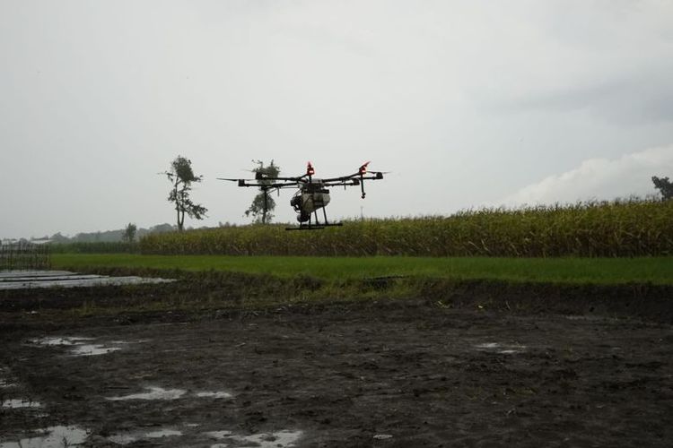 Penyemprotan menggunakan drone jauh lebih cepat dan efisien ketimbang penyemprotan secara manual. 