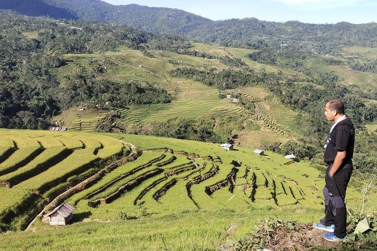 Manggarai Timur, Nusa Tenggara Timur terkenal dengan areal persawahan Terasering dikerjakan para petani. Satu dari sekian persawahan terasering itu adalah Sawah Terasering Ratung di Kecamatan Borong, Minggu, (22/5/2022). (KOMPAS.com/MARKUS MAKUR)