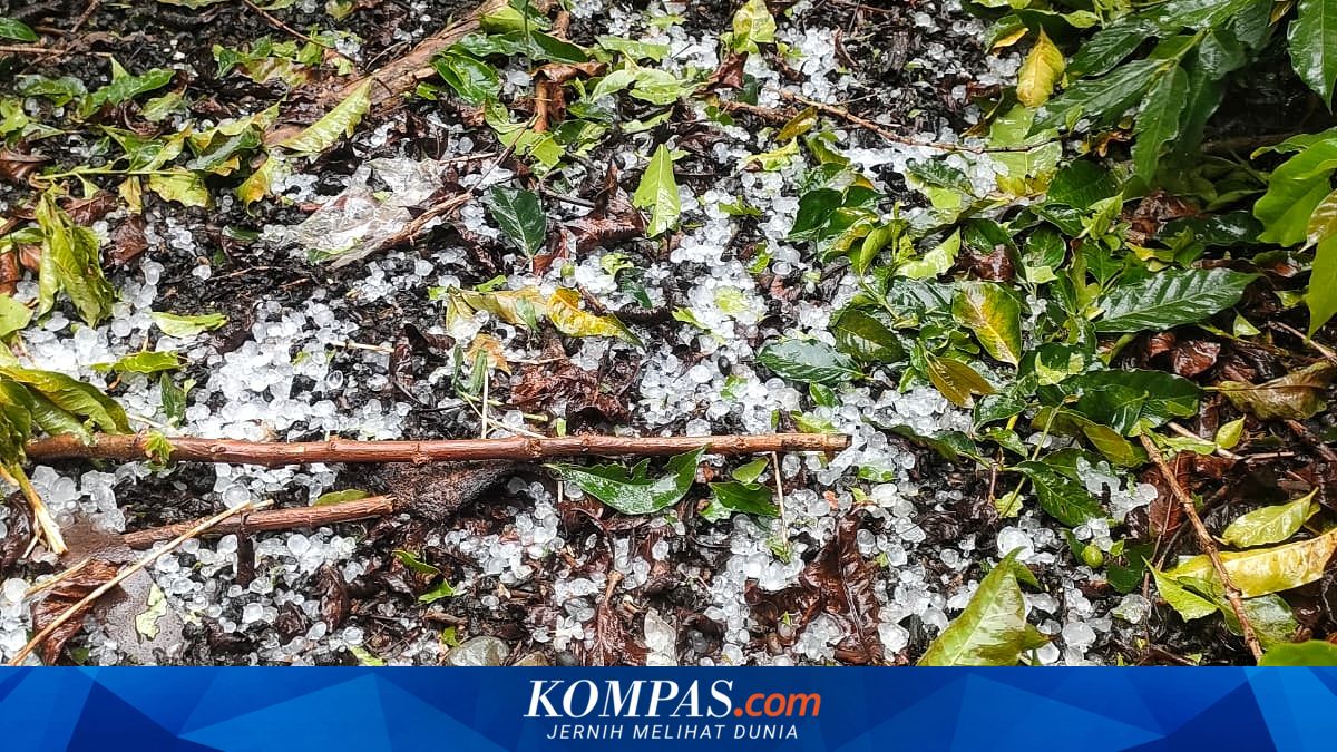 Hujan Es Sepanjang 2026, Menghempas Pemancing Pasuruan dan Merontokkan Harapan Petani Aceh ~AA

Baca di sini: