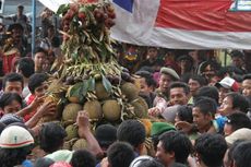 Ribuan Orang Berebut Durian Gratis di Magelang