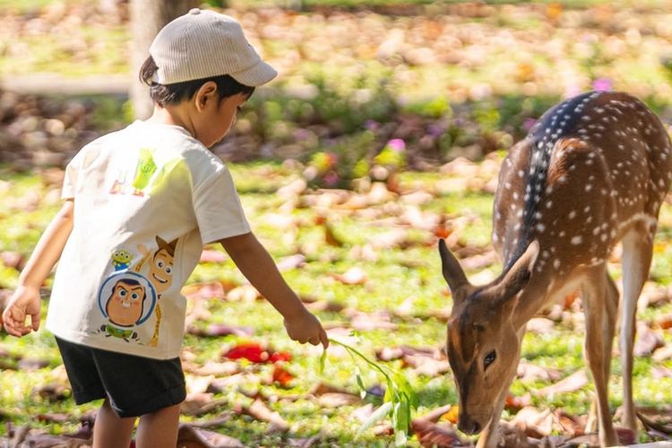 Saat Alam Menjadi Ruang Kelas Anak-anak di Sekolah Susi Pudjiastuti