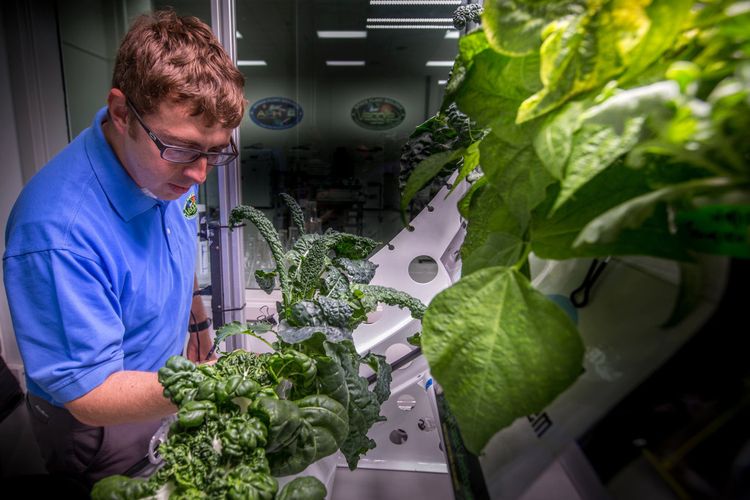 Matt Romeyn dari NASA di Laboratorium Vegetarian fasilitas pemrosesan stasiun luar angkasa di Kennedy Space Center di Florida, AS.