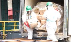 Bapeten Musnahkan 5,7 Ton Udang Ekspor yang Terkontaminasi Cesium-137