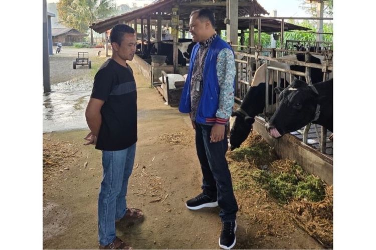 Owner Dara Farm Tommy Wavolta.