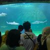 travel bandung ancol