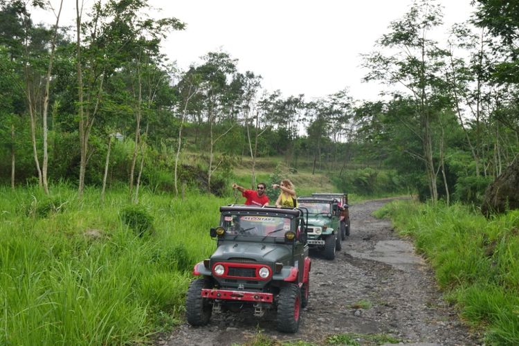 Wisatawan bisa menikmati sensasi naik jeep, sembari menikmati suasana pemandangan alam di Desa Pentingsari, Sleman Yogyakarta.