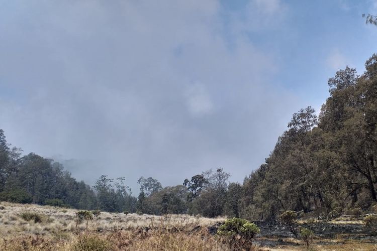 Kondisi lahan bekas kebakaran di Kawasan Bukit Kepolo, Gunung Semeru, Jawa Timur