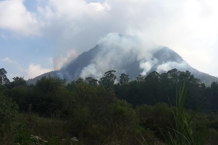 Kepulan asap akibat kebakaran hutan membumbung di Gunung Panderman, Kota Batu, Jawa Timur, Senin (22/7/2019)