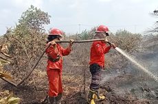 5 Hektar Lahan Gambut di Muara Enim Terbakar