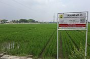 Pemerintah Tegaskan Komitmen Dekarbonisasi dan Penghentian Deforestasi Pertanian