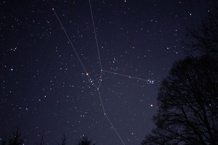 Ilustrasi rasi bintang Taurus.