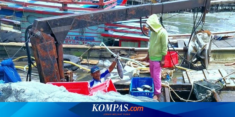 Resmi, Menteri KP Larang Penggunaan Alat Tangkap Ikan yang Rusak Ekologi Laut - Vimarsana News