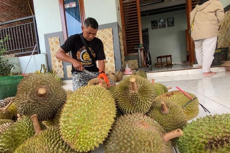 Petani durian di Kabupaten Madiun mengalami penurunan panen dampak curah hujan yang tinggi.