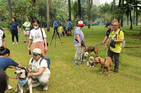 Tanpa Spanduk dan Pengeras Suara, 'Dog Lover' Kampanye Cinta Anabul di Taman Semanggi
