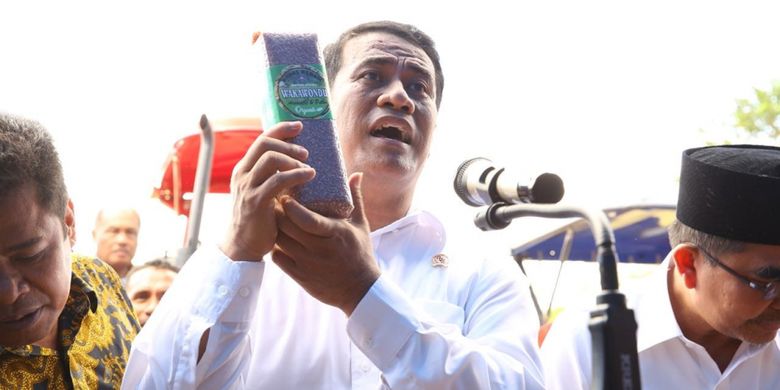 Menteri Pertanian Andi Amran Sulaiman menunjukkan beras Indonesia kualitas ekspor
