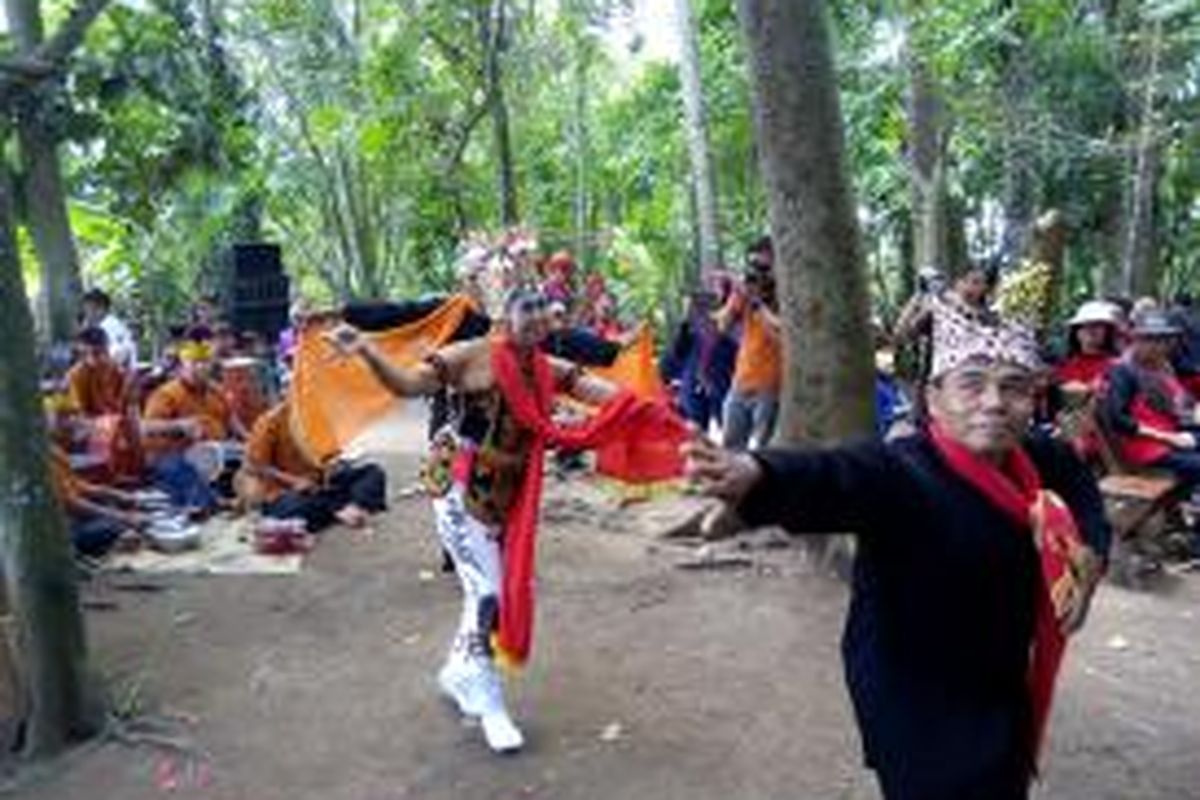 Tari gandrung di tengah kebun di Desa Kemiren, Kecamatan Glagah, Kabupaten Banyuwangi, Jawa Timur, Jumat (20/2/2015).