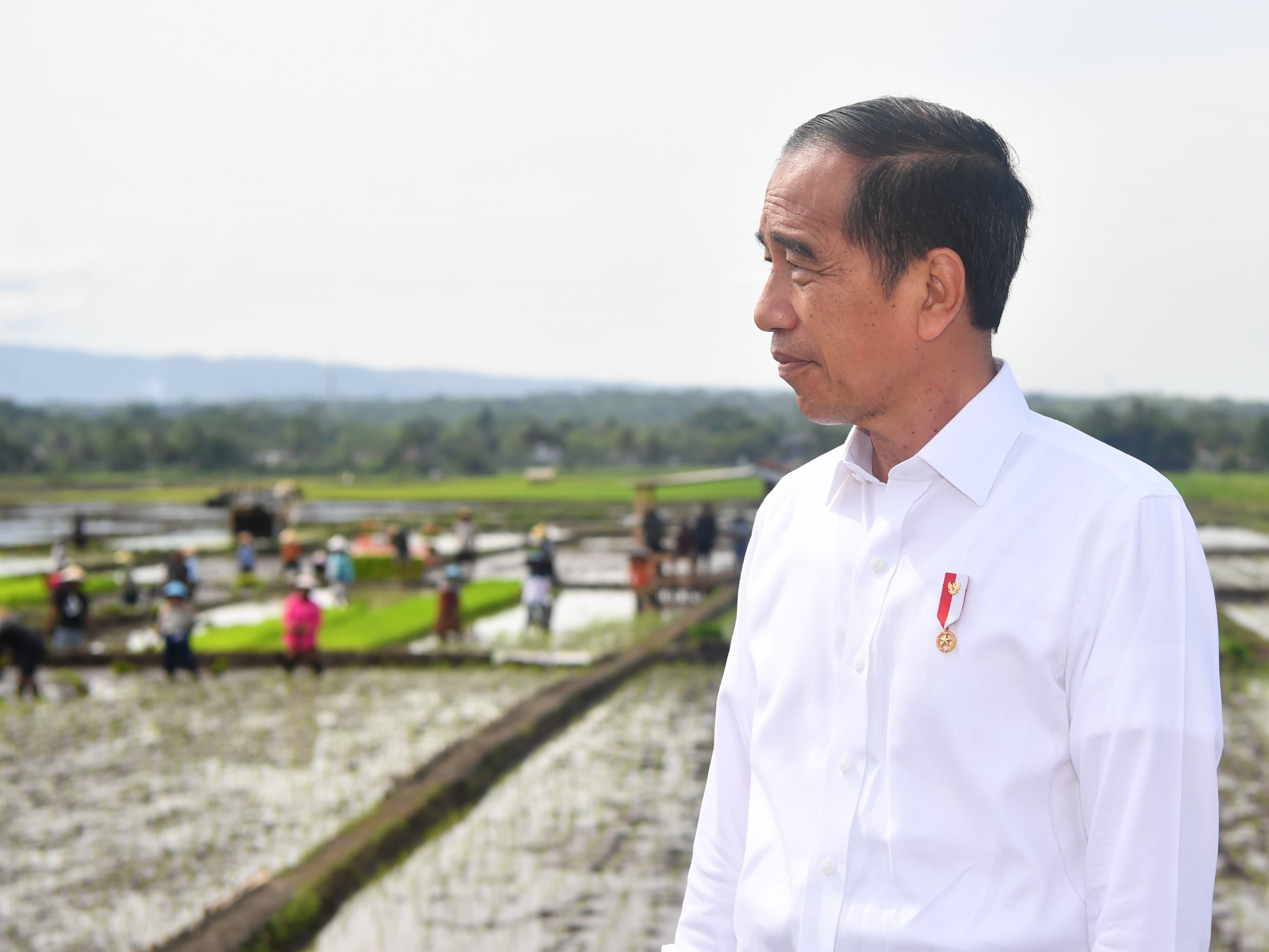 Di Balik Kabar Absennya Jokowi dalam HUT PDI-P karena Tugas Negara...