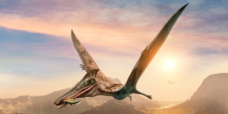 Ilustrasi pterosaurus, spesies reptil terbang dari zaman dinosaurus. Potongan fosil di Maroko mengungkap spesies pterosaurus kecil.