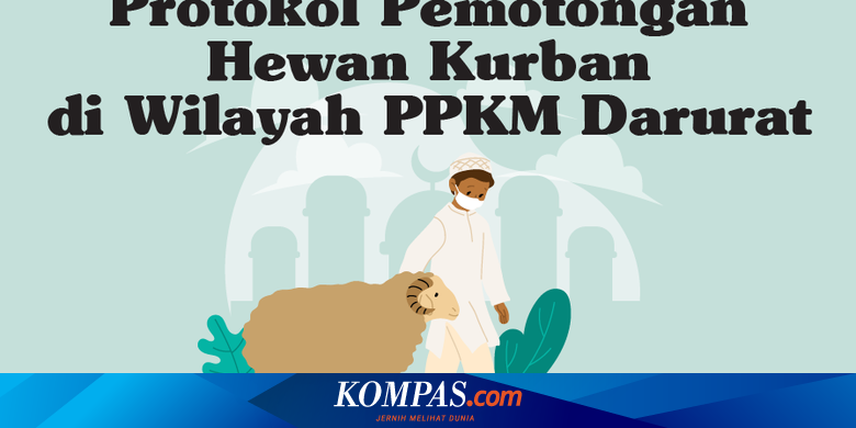 INFOGRAFIK: Tata Cara Pemotongan Hewan Kurban di Wilayah PPKM Darurat - Vimarsana News
