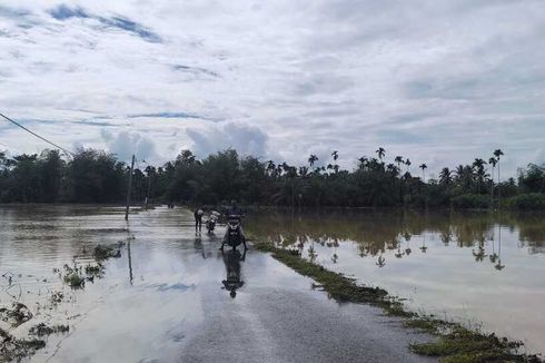 Kerugian Pertanian Aceh Utara karena Banjir Capai Rp 37 Miliar