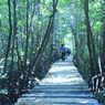 Uni Emirat Arab Bakal Jadikan Belitung Lokasi Penelitian Mangrove