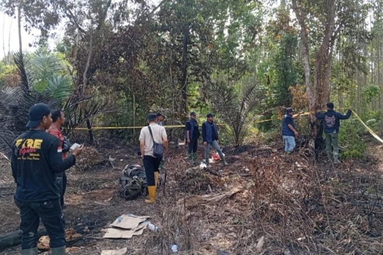 Bakar Lahan untuk Kebun Sawit, Pria di Siak Halangi Petugas Padamkan Api