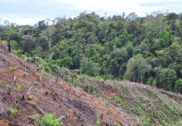 Tanah Warga Tercatat sebagai Aset Negara, UU Reforma Agraria Buka Jalan Pemulihan Hak
