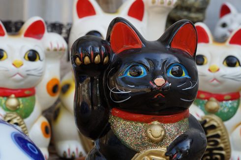 Asal Usul Maneki Neko, Legenda Kucing yang Dipercaya Membawa Hoki