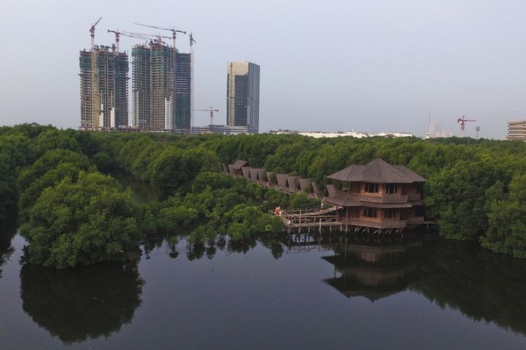 Hutan Mangrove Jakarta Pantai Indah Kapuk.