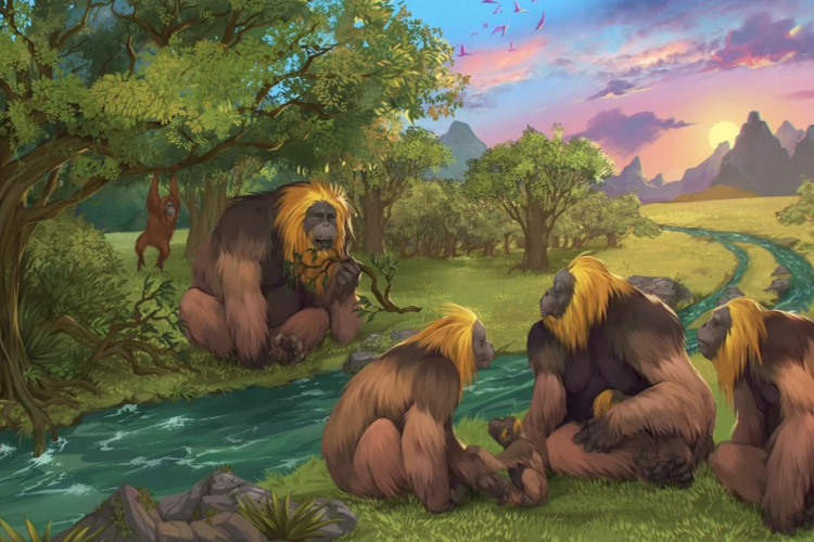 Ilustrasi kera besar purba yang sudah punah. 