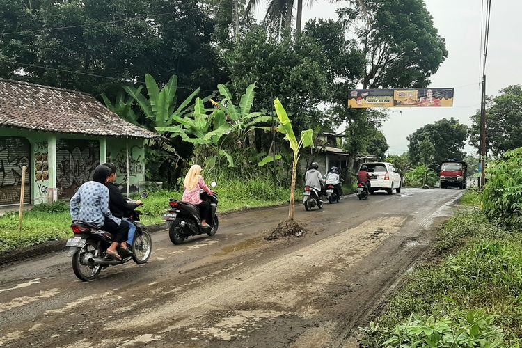 Pohon pisang yang diletakan di lubang jalan Tempel-Dekso. Pohon tersebut diletakan untuk mengingatkan pihak terkait jika kondisi jalan rusak dan perlu perbaikan.