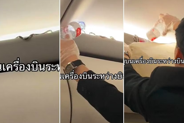 Tangkapan layar munculnya ular di pesawat Thai AirAsia Pukhet-Bangkok. 