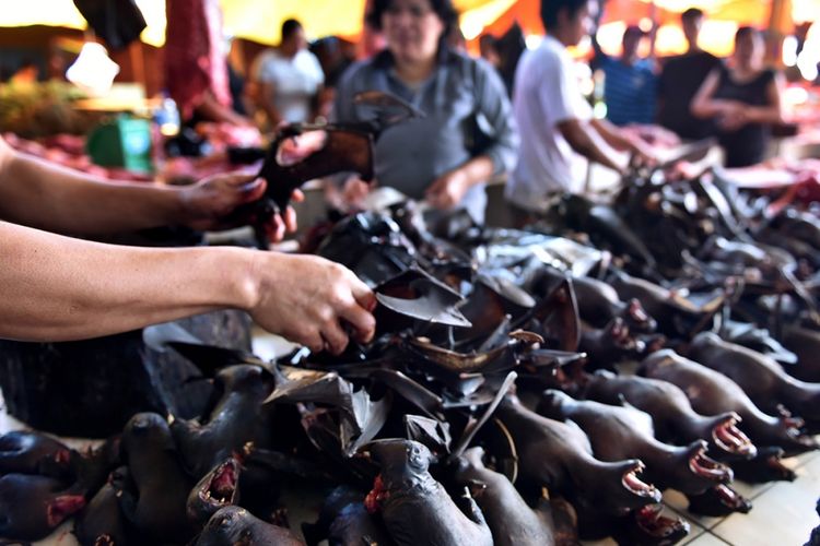 Pedagang menyiapkan daging kelelawar di Pasar Tomohon, Sulawesi Utara, yang juga menjual monyet hitam Sulawesi (Macaca nigra), Sabtu (18/2/2017). Sebagai salah satu primata dengan populasi terancam di dunia, perburuan monyet hitam Sulawesi untuk dijual sebagai santapan masih tinggi.