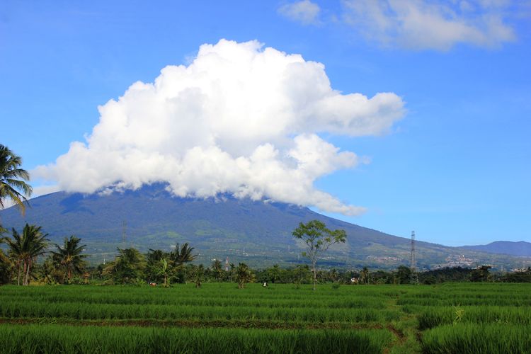 Gunung Gede Pangrango, salah satu tempat wisata di Cianjur.