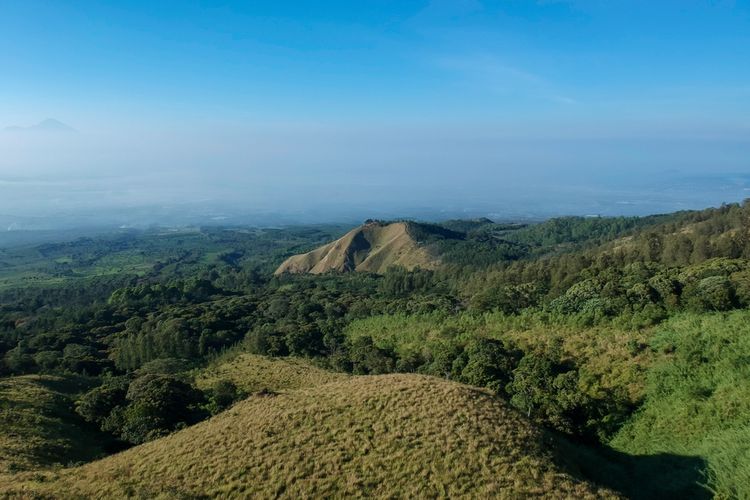 Hutan pinus di Malang Raya, Jawa Timur, bisa dikunjungi untuk menjauh dari  hiruk pikuk sejenak. Simak beberapa rekomendasinya, salah satunya di Budug Asu.