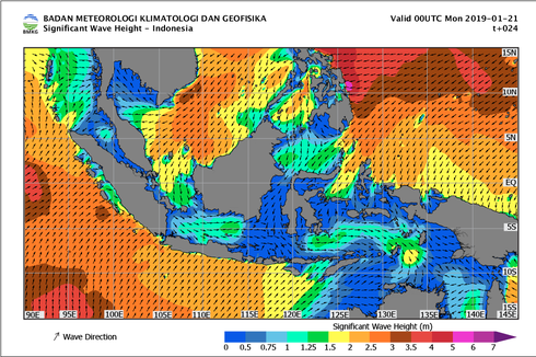 BMKG Peringatkan Ada Gelombang Tinggi hingga 6 Meter di Wilayah Ini