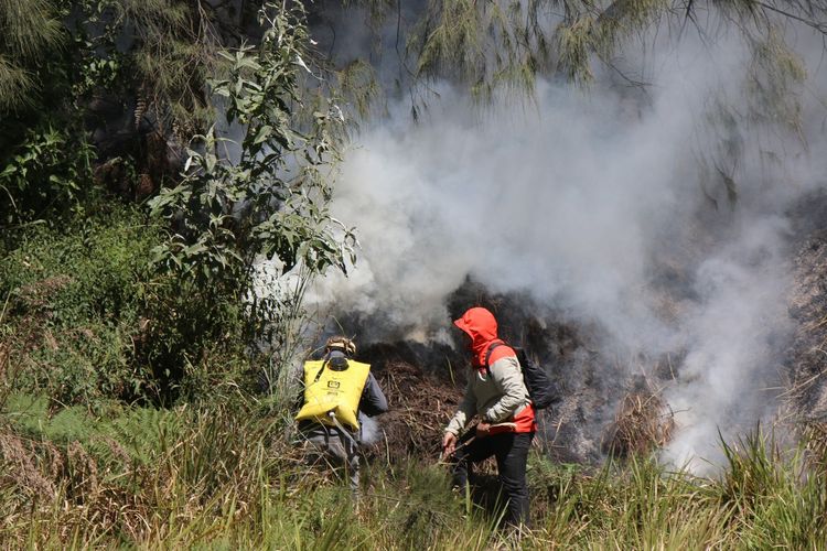 Bromo Kebakaran Lagi, Kali Ini di Kawasan Gunung Batok