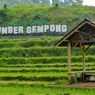 Wisata Sawah Sumber Gempong: Harga Tiket, Jam Buka, dan Aktivitas    