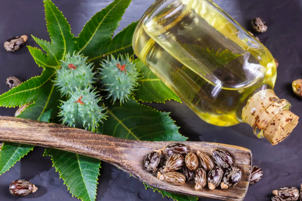 Khasiat castor oil untuk mengatasi rambut rontok