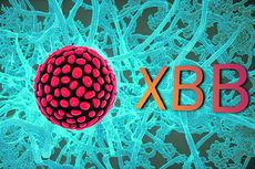 Lebih Menular, Ini 6 Gejala Umum Omicron XBB