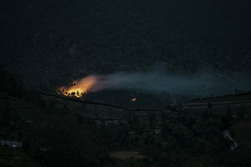 Titik Api Kembali Muncul di Hutan Lereng Gunung Slamet