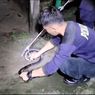 Ular Kobra Muncul di Permukiman Padat, Warga Panik dan Berlarian